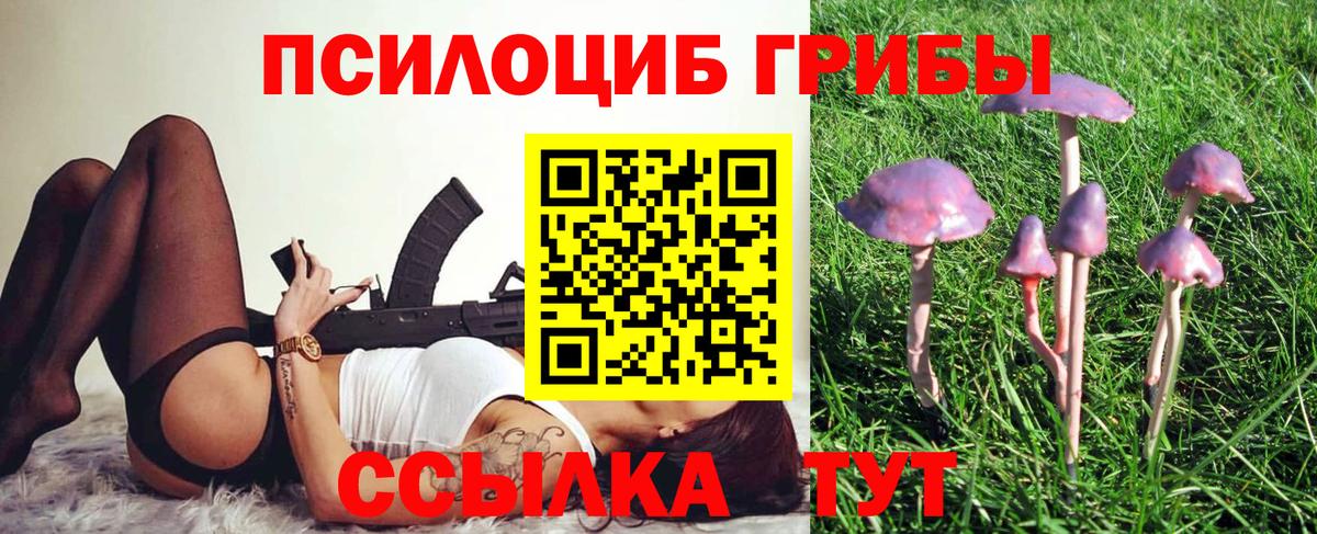 Псилоцибиновые грибы прущие грибы  Псилоцибиновые грибы Psilocybine cubensis  Вход с VPN  Красноармейск 